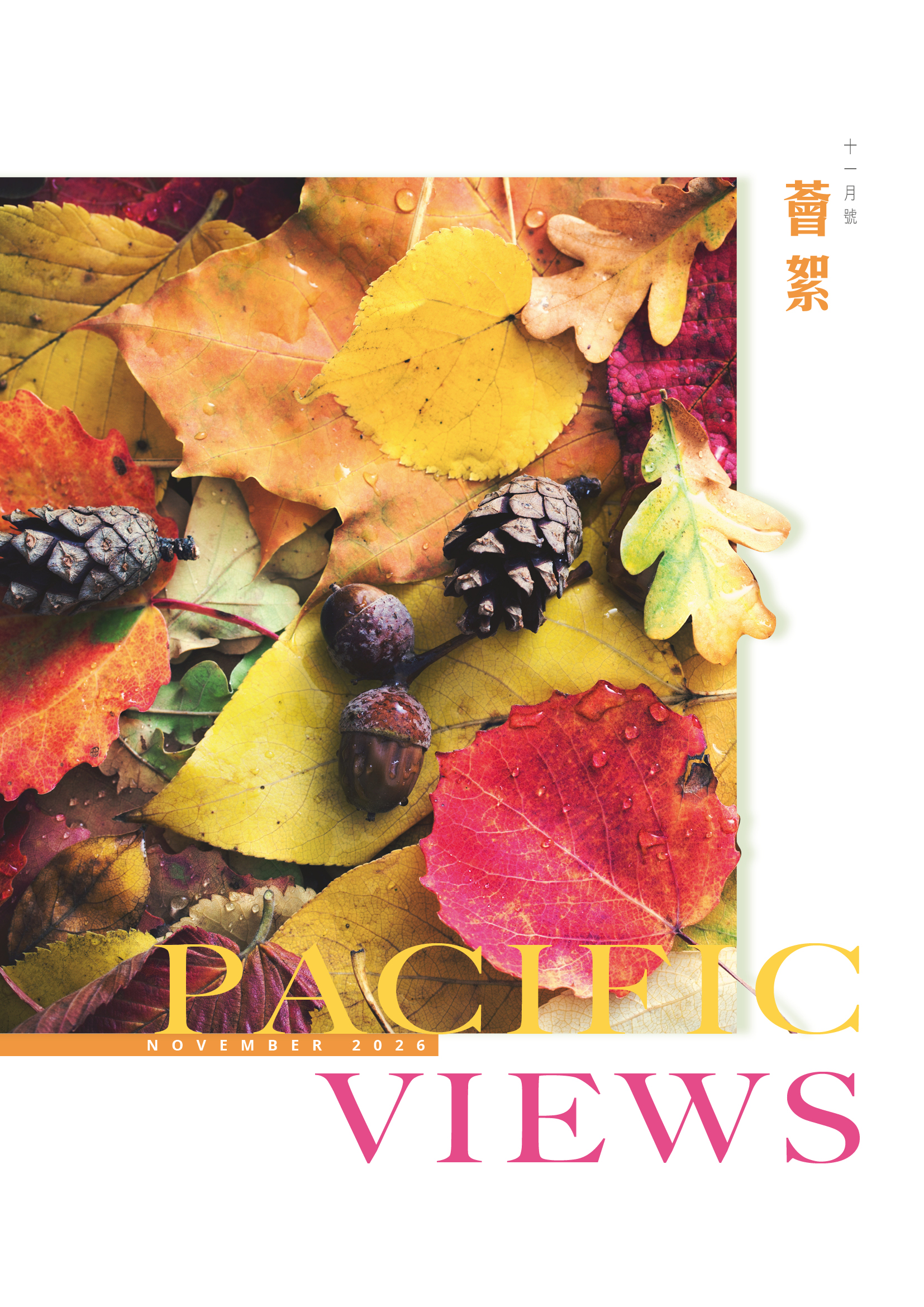 PV_Nov26_p1